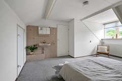 Tormentil 5 Castricum De Groot 44.JPG